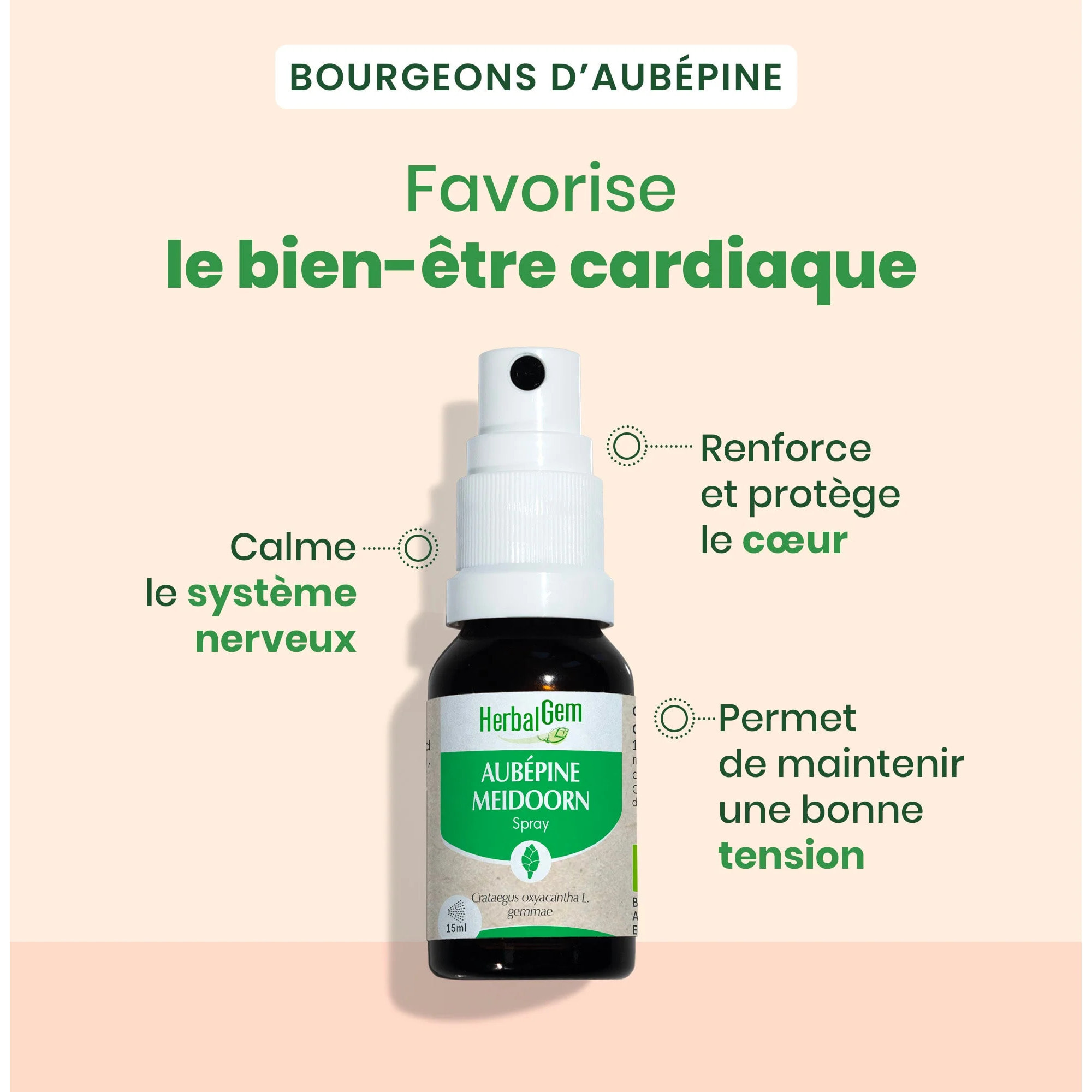 Herbalgem- Bourgeon d'Aubépine - spray - Bio - 15 ml