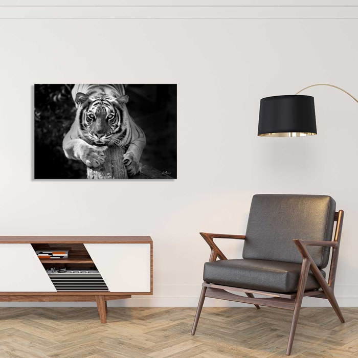 Tableau noir et blanc tigre jade Toile imprimée