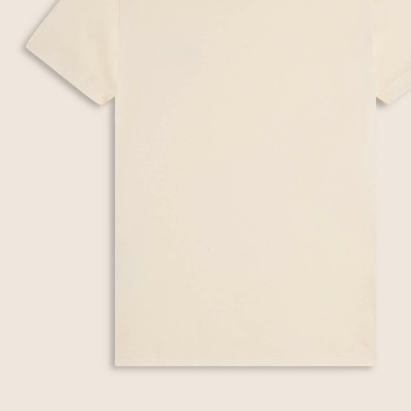 T-shirt cotone modal regular fit