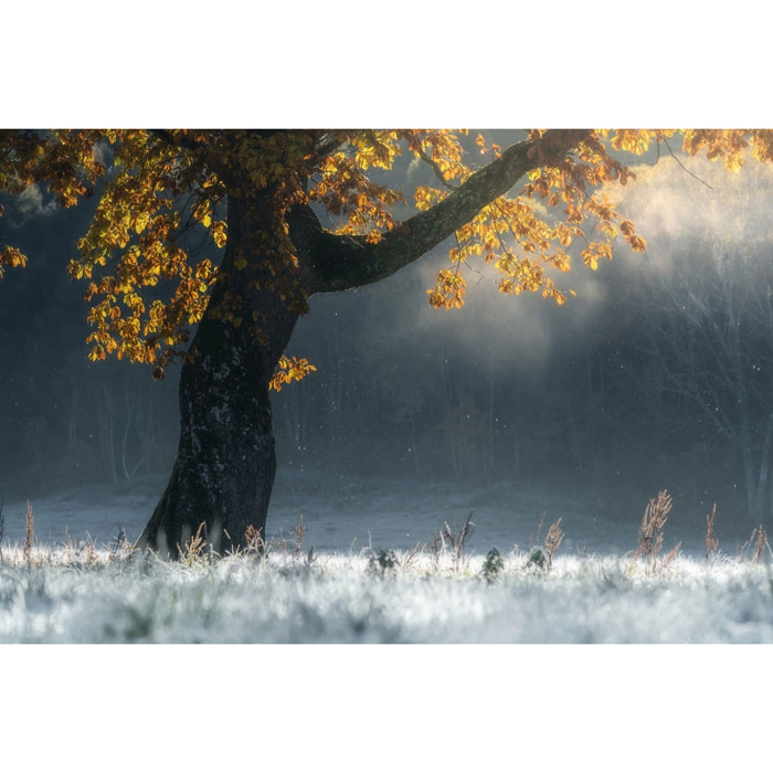 Tableau paysage Souffle d'hiver Toile imprimée