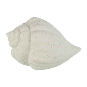 J-Line decoratie Coquillage - porcelaine - blanc