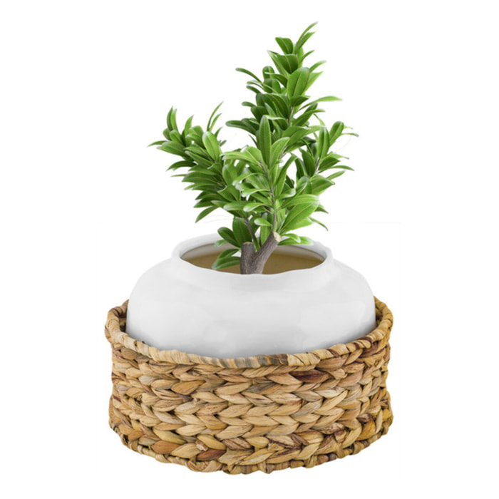 Vaso con rattan Sirenuse