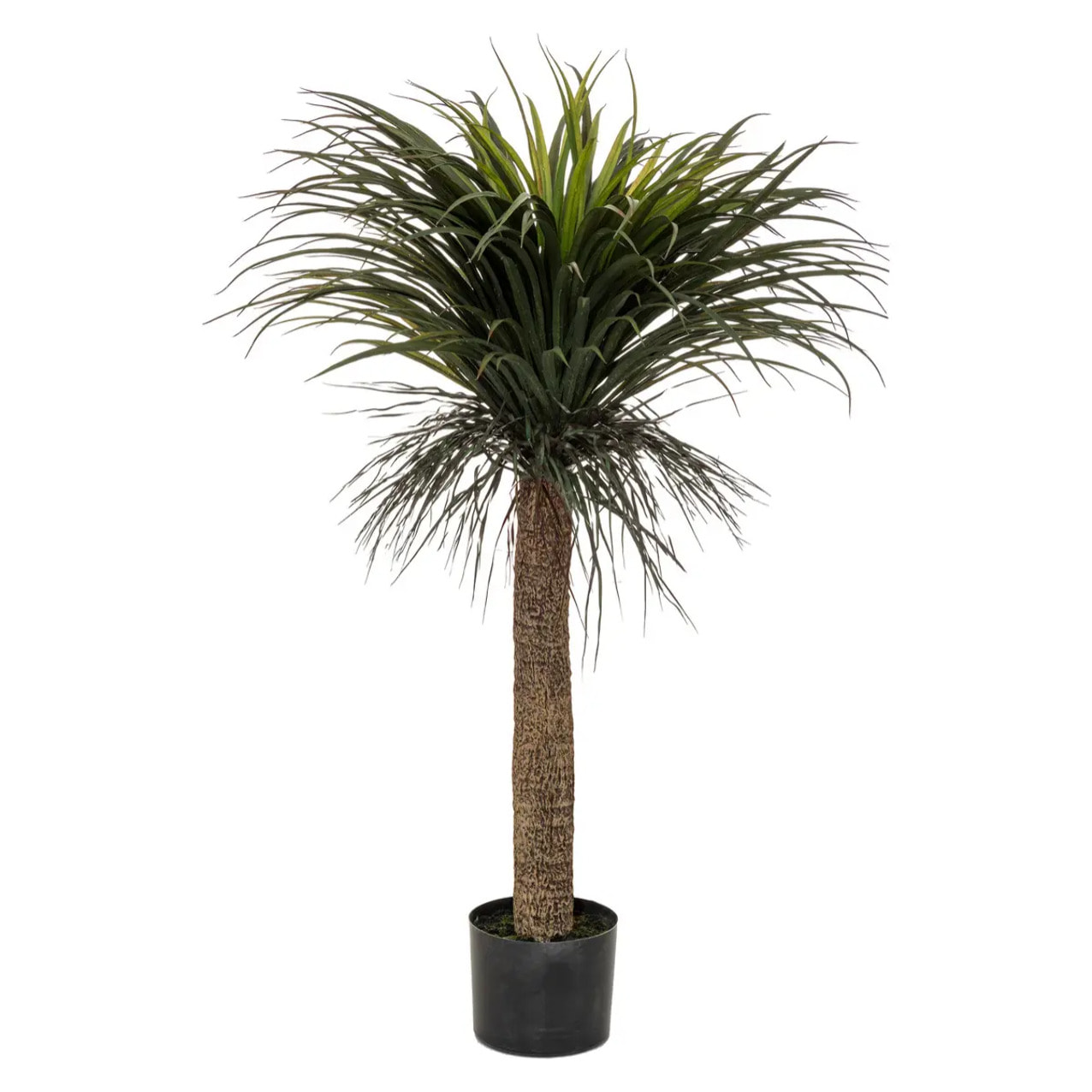 Yucca artificiel "Tropiques" H150cm