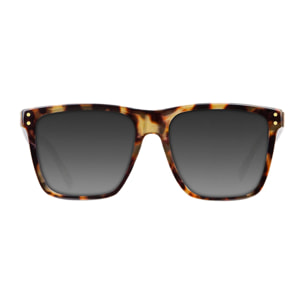 Gafas de Sol Roosevelt II Carey / Brown D.Franklin