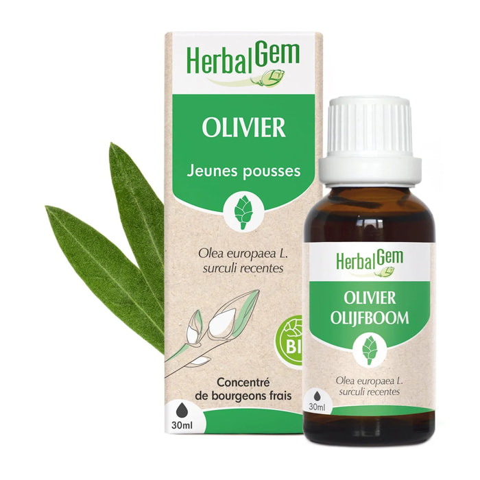 Herbalgem- Bourgeon d'Olivier - Bio - 30 ml