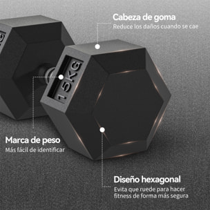 Juego de Mancuernas Hexagonales, 2 x 15 kg, de Hierro Fundido, Recubiertas de Goma, Juego de Pesas con Barras de Conexión para Entrenamiento en Casa, Gimnasio y Oficina, Negro y Plata
