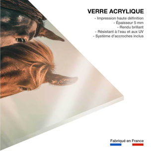 Tableau chevaux horse family  Tableau plexiglas