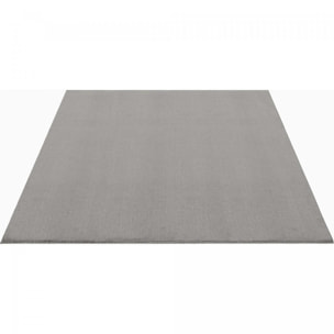 Tapis salon MITA, soft et soyeux, tapis uni à l'aspect Shaggy