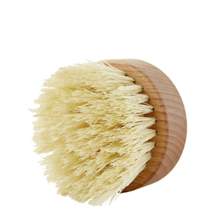 Exfolie & Tonifie - Brosse de Massage à Sec