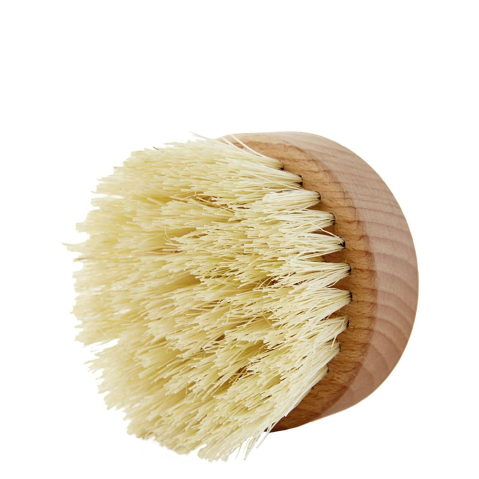 Exfolie & Tonifie - Brosse de Massage à Sec