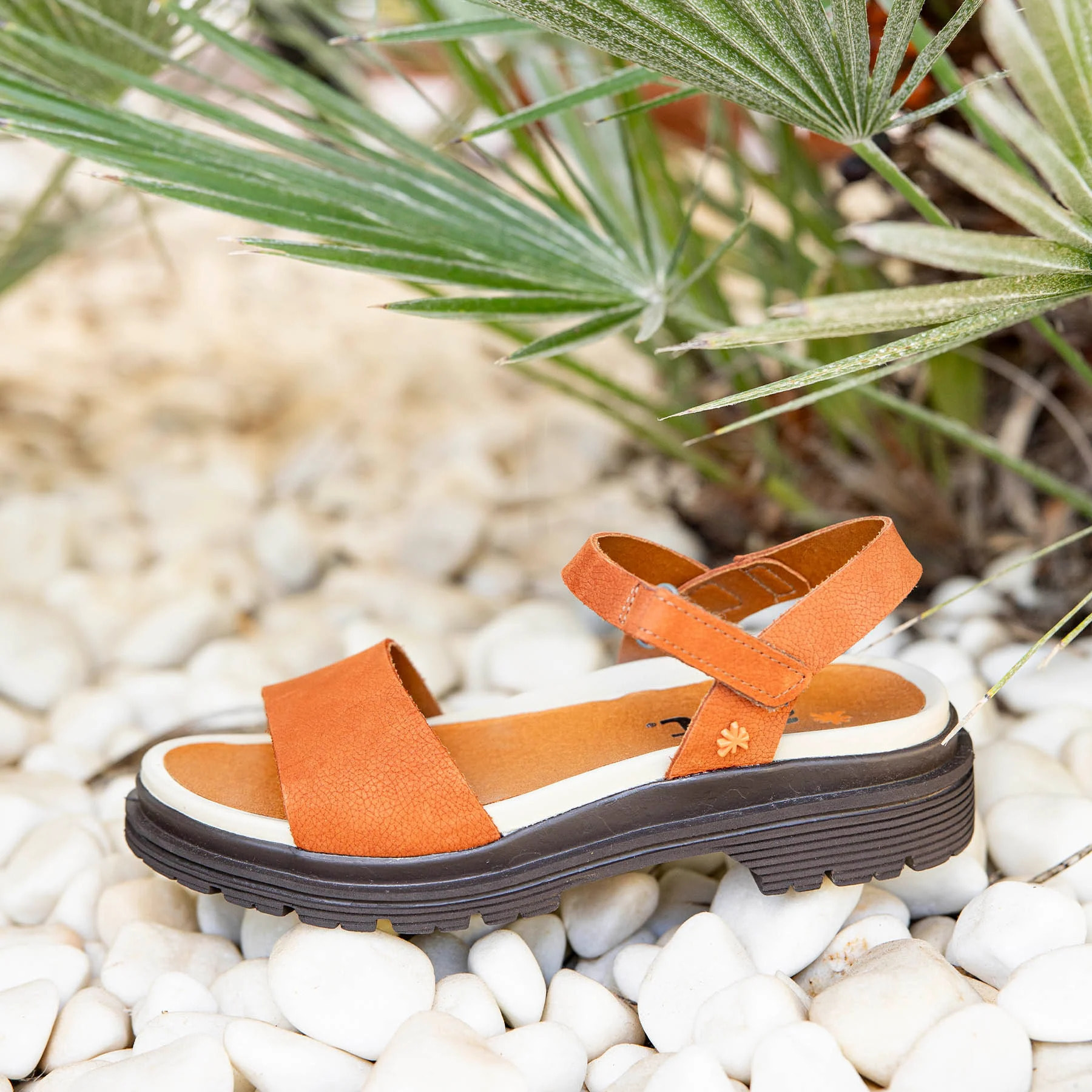 Sandalias 1548 NOBUCK HONEY/ BIRMINGHAM color Honey