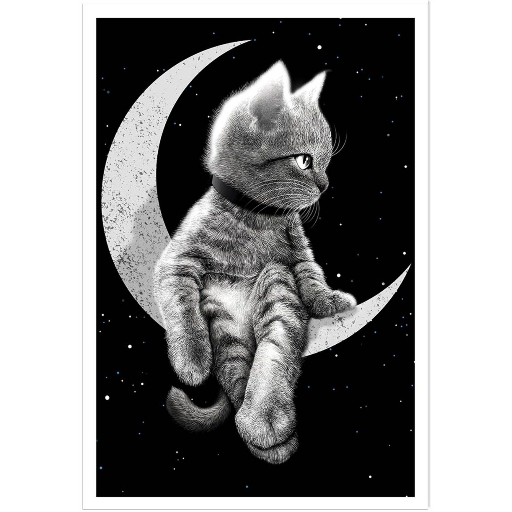 Affiche enfant chat rêveur  Affiche seule