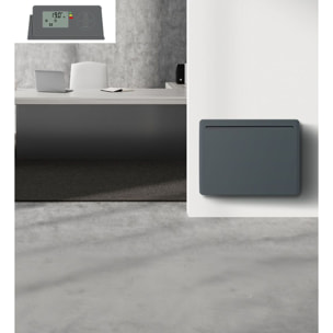 Radiateur a inertie ceramique LCD 1000W Gris