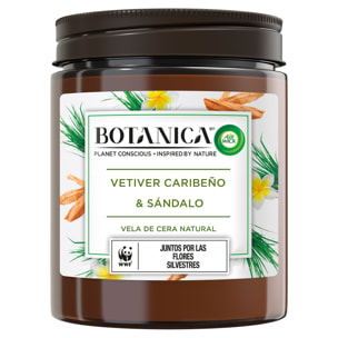 Botanica by Air Wick Vela aromática de cera natural, aroma Vetiver Caribeño y Sándalo