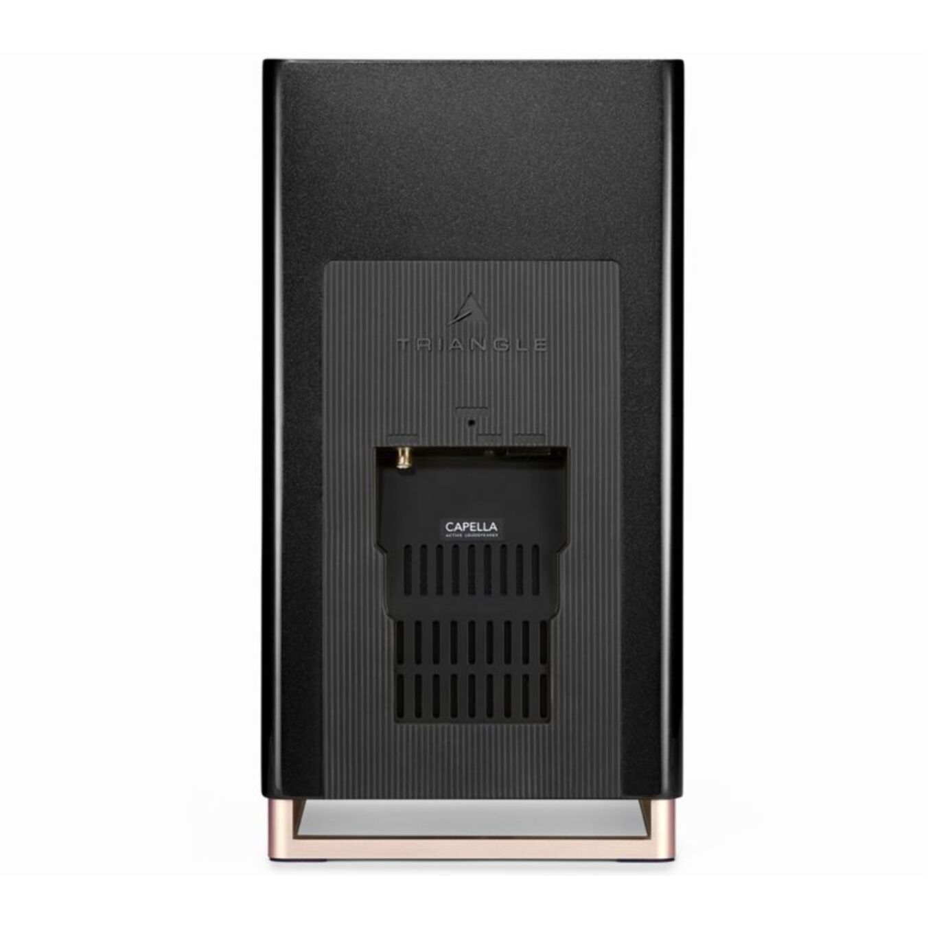 Enceinte bibliothèque active TRIANGLE CAPELLA 2 Noir Sidéral