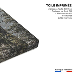 Tableau forest in fog drama Toile imprimée