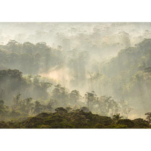 Papier peint panoramique Misty Forest - Un décor mural de 8 lés (384x270cm), créé et fabriqué en France