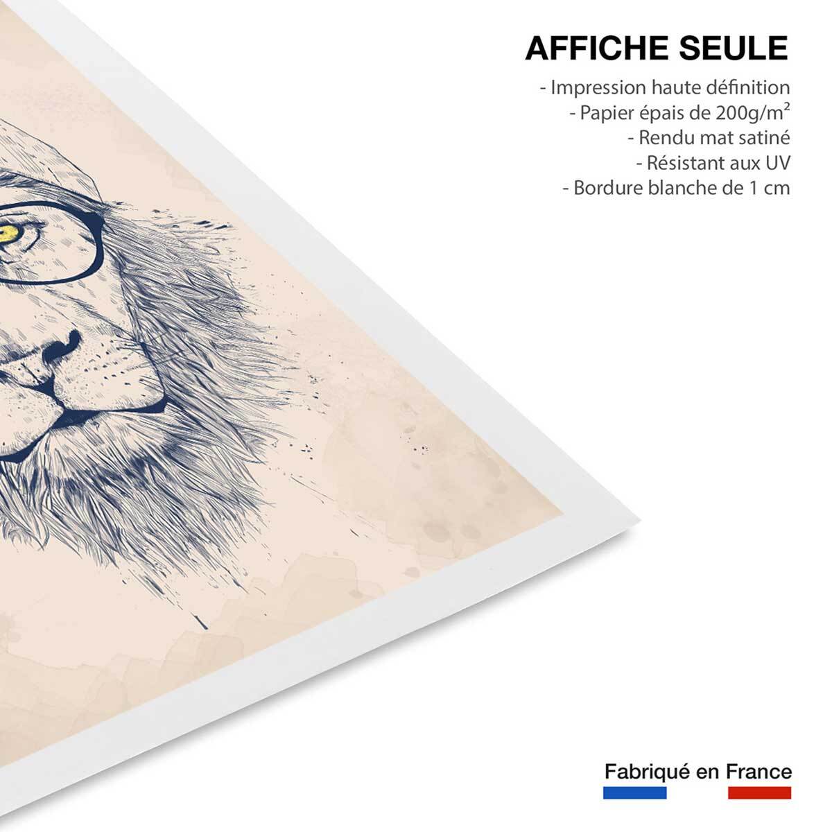 Affiche enfant lion  Affiche seule
