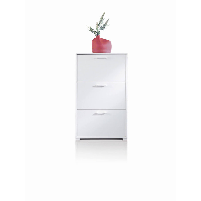 Scarpiera Peonia, Mobile multiuso da ingresso con 3 ante a ribalta, Armadietto portascarpe a doppia profondità, 100% Made in Italy, Cm 67x28h112, Bianco