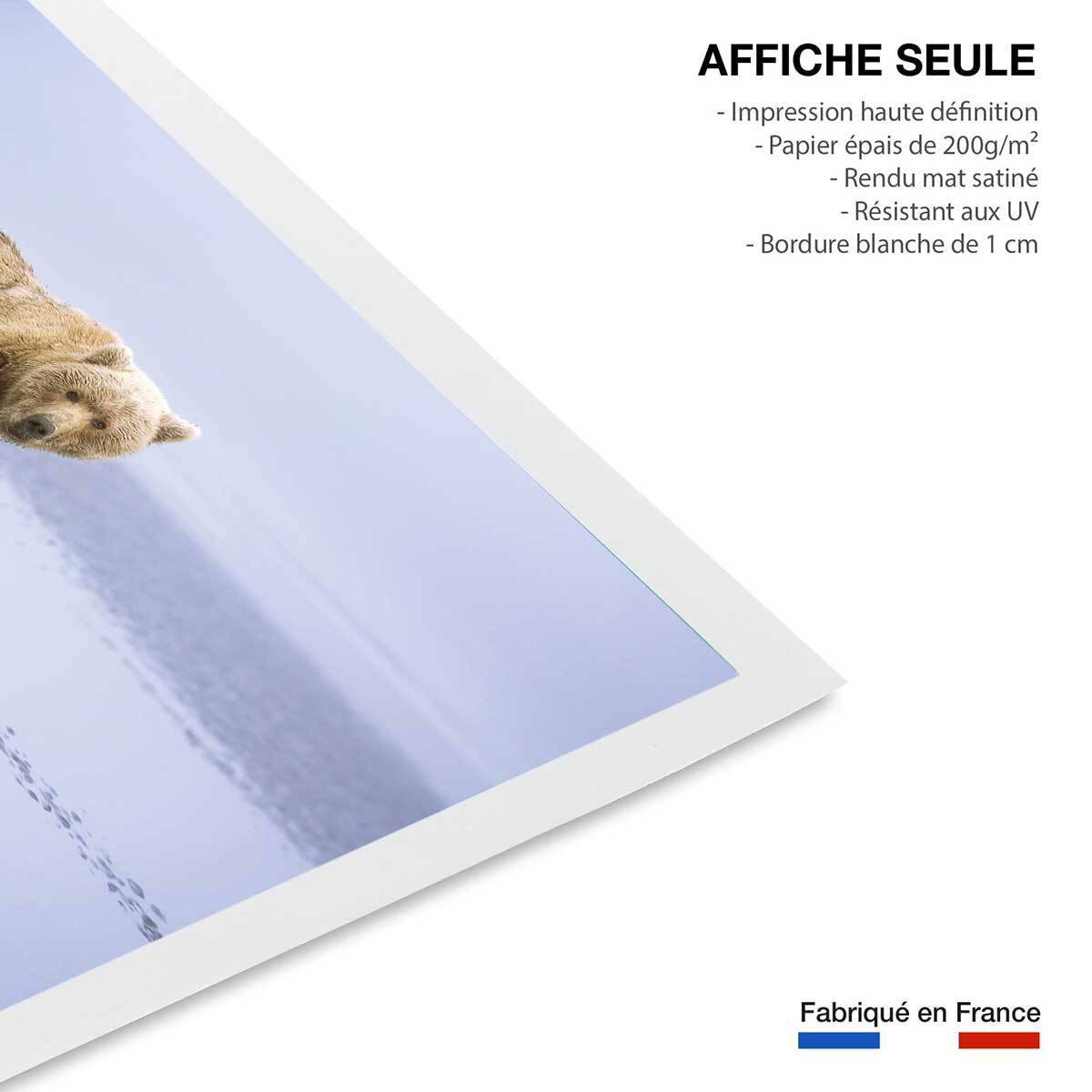 Affiche la marche de l'Ours Affiche seule