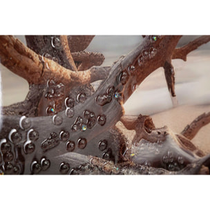 STAMPA DIPINTA SU TELA LACCATA BEACH C/CORNICE -B- CM 152X4X52