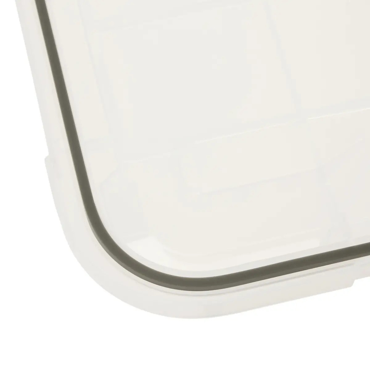 Boîte en plastique à clip 75L "Protect+"