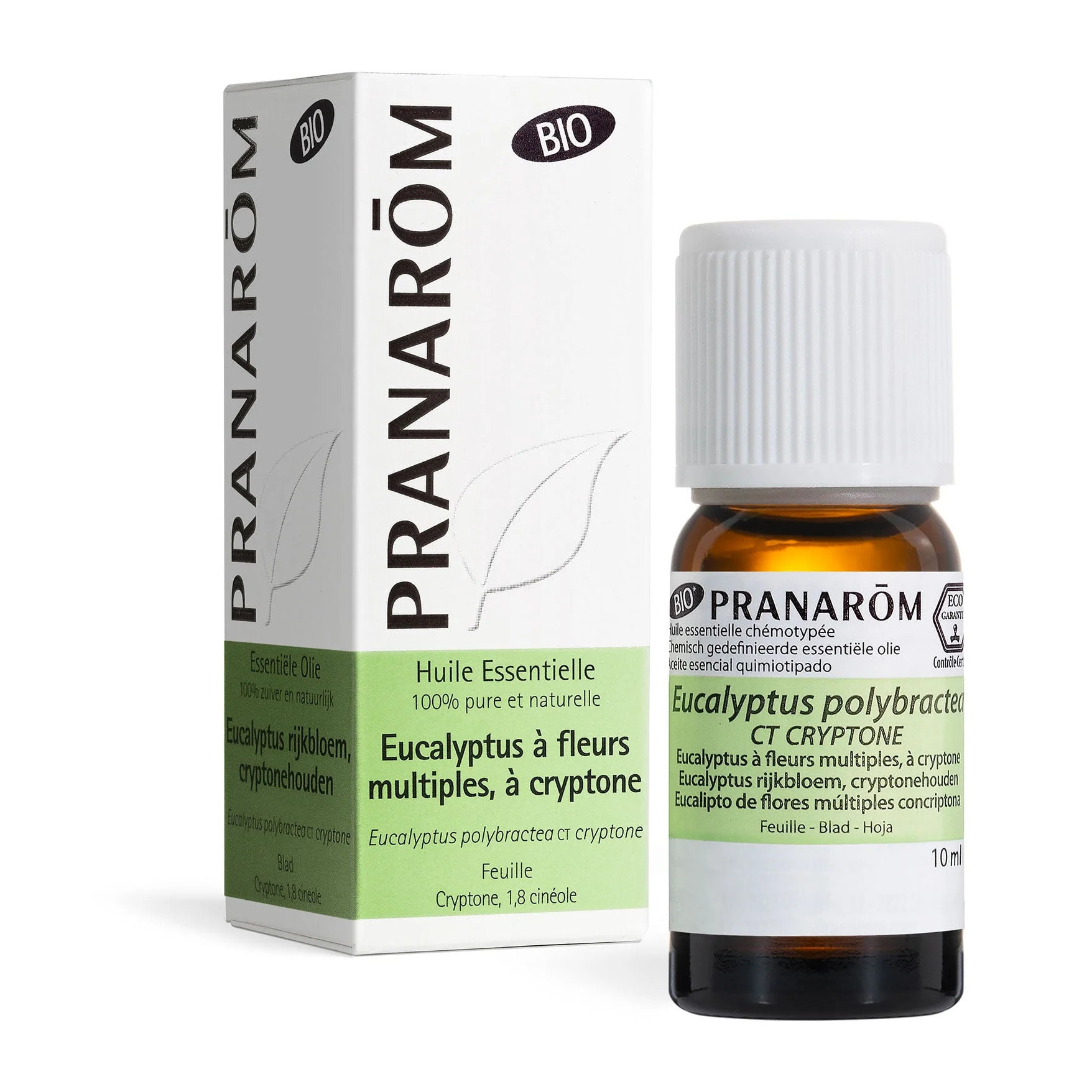 Pranarom - Huile Essentielle d'Eucalyptus à fl. multiples, à cryptone - Bio - 10 ml