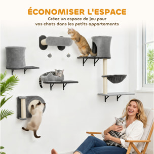 Arbre à chat design mural - parcours mural en bois pour chat 5 pièces variées - crème gris