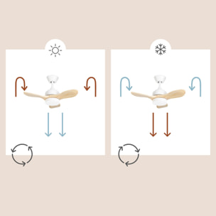 Forlight FORLIGHT Calar Ventilador de Techo con luz LED Silencioso con 5 velocidades,