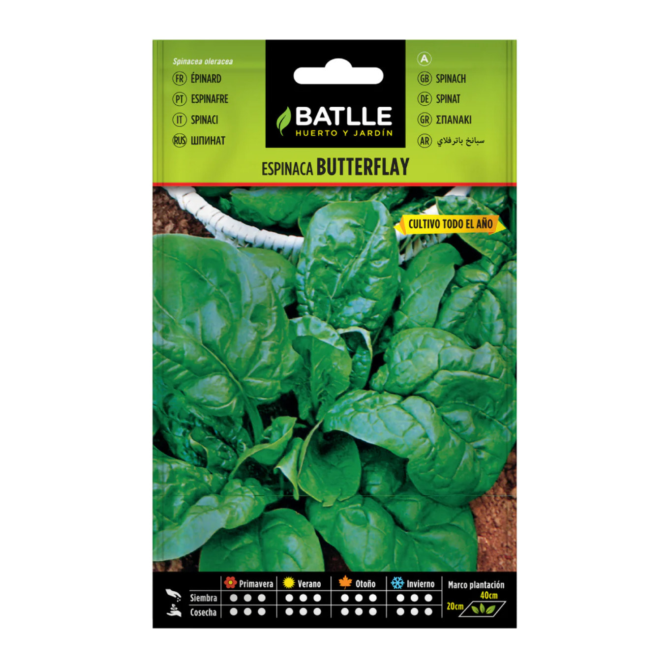 Semillas de Espinaca Butterflay Batlle