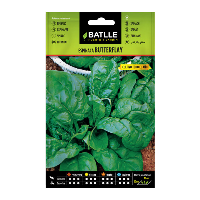 Semillas de Espinaca Butterflay Batlle