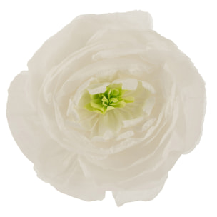 J-Line fleur artificielle - papier - blanc - large