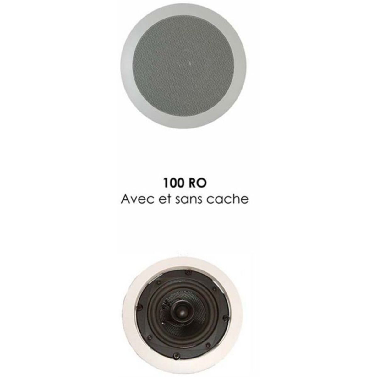 Enceinte encastrable DAVIS 100 RO