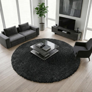 Tapis longs poils shaggy tissé motif uni TENI