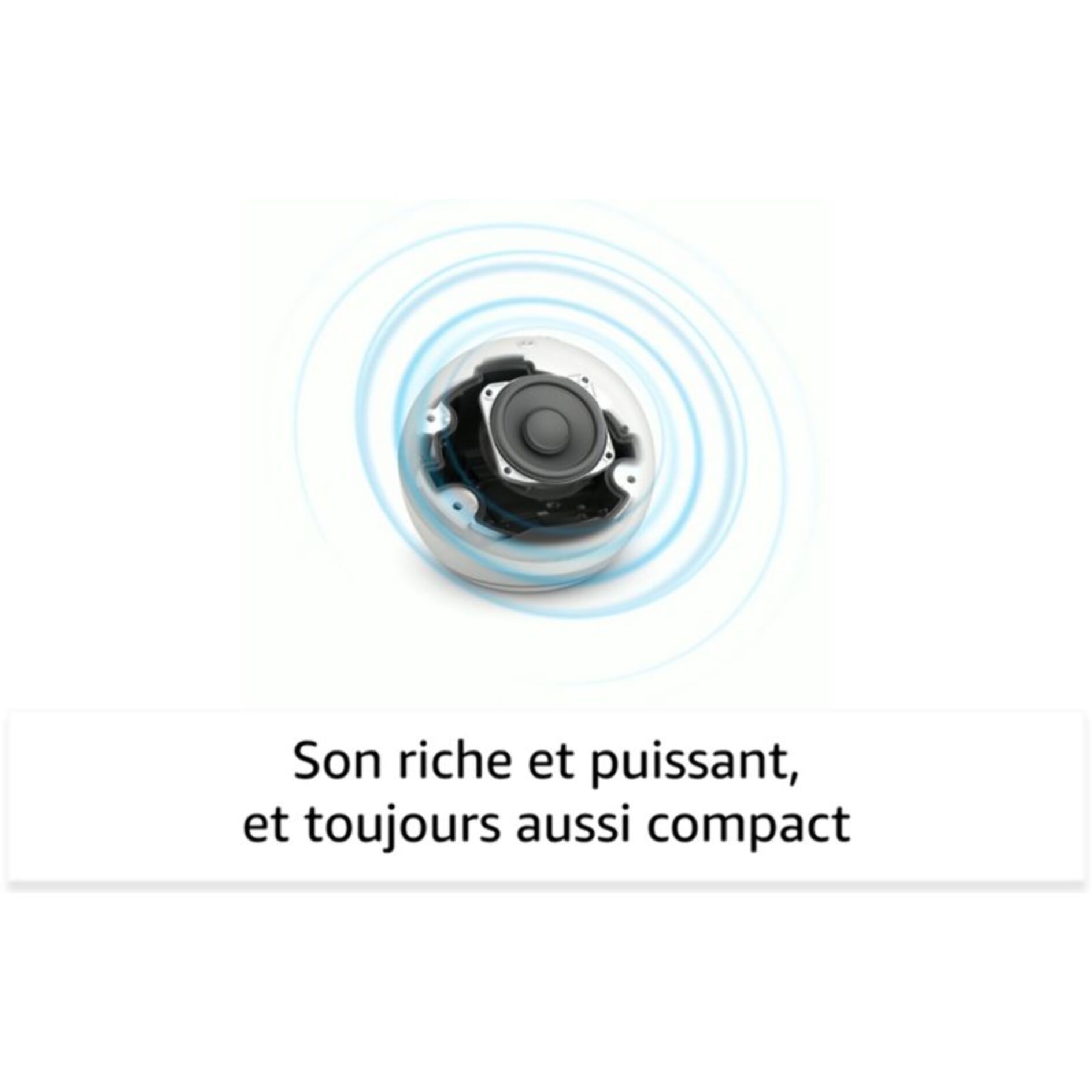 Assistant vocal AMAZON Echo Dot 5 Anthracite