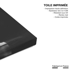 Tableau coluche sur scène  Toile imprimée