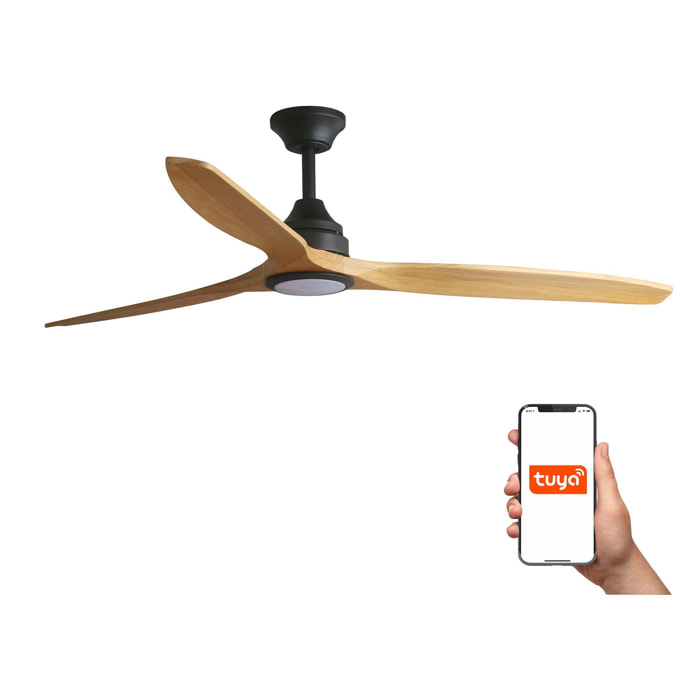 ALO L Ventilatore nero/legno TUYA CCT