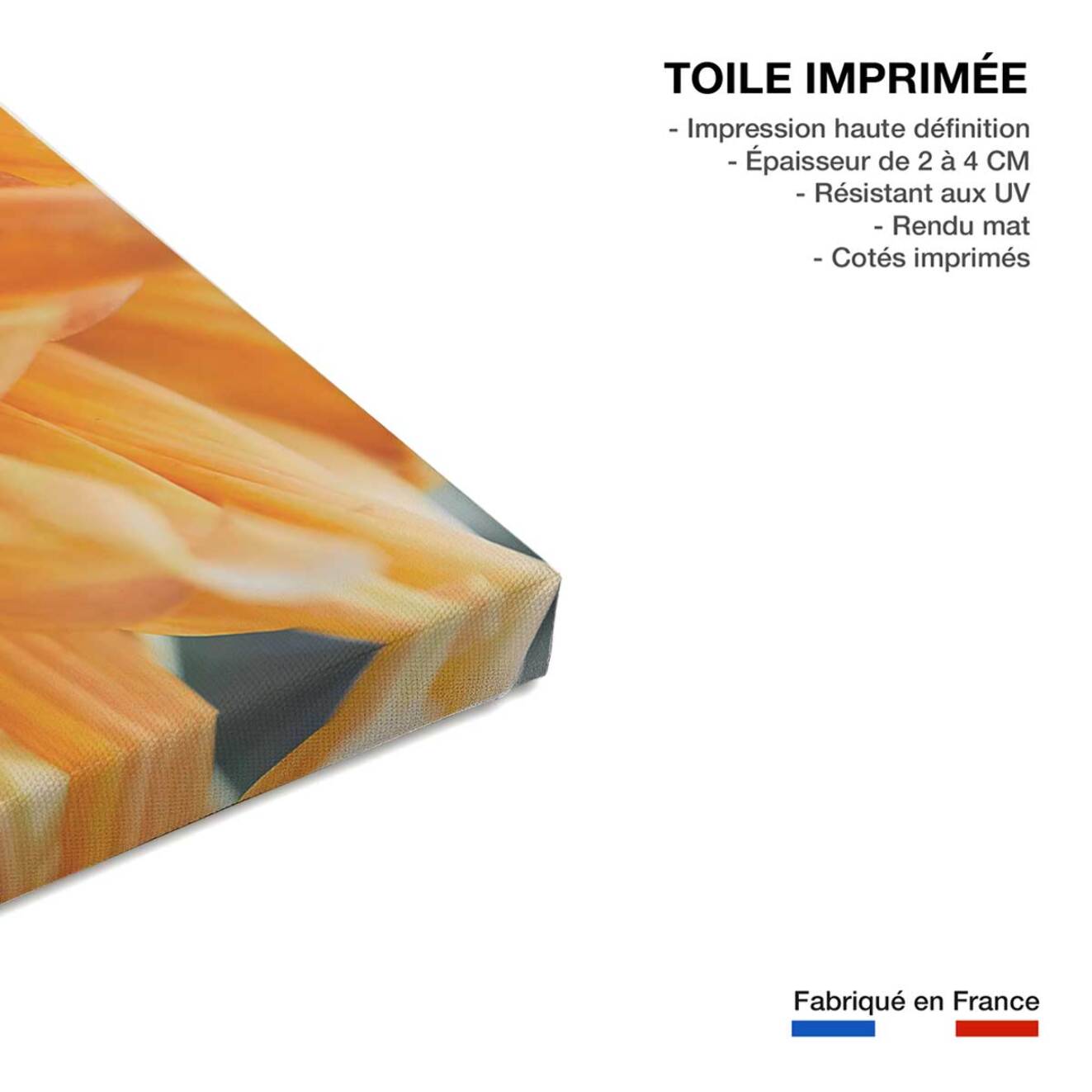 Tableau Tableau fleurs coeur de chrysanthème Toile imprimée