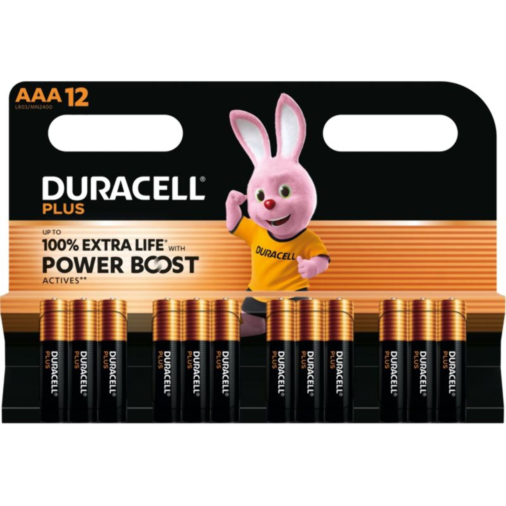 Pile DURACELL LR03 AAA x12 POWERBOOST PLUS