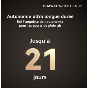 Montre connectée HUAWEI Watch GT6 Pro 46mm Marron
