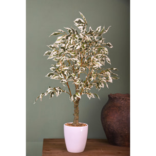 Ficus Con Vaso. Altezza 70 Cm - Pezzi 1 - 53X70X44cm - Colore: Altro - Bianchi Dino - Piante Artificiali