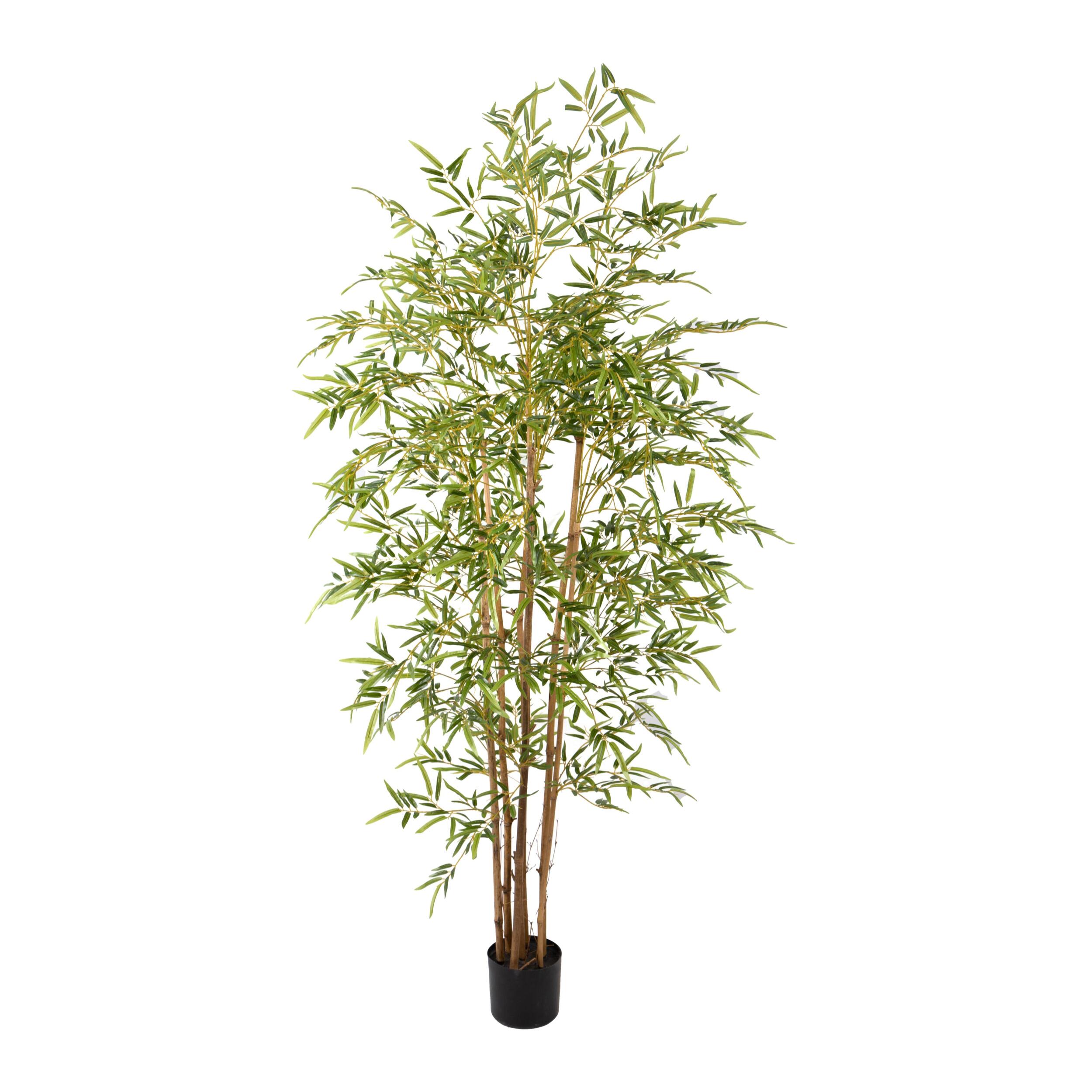 Bamboo con vaso - Pezzi 1 - Colore: Verde - 20xH210x20cm - Bianchi Dino