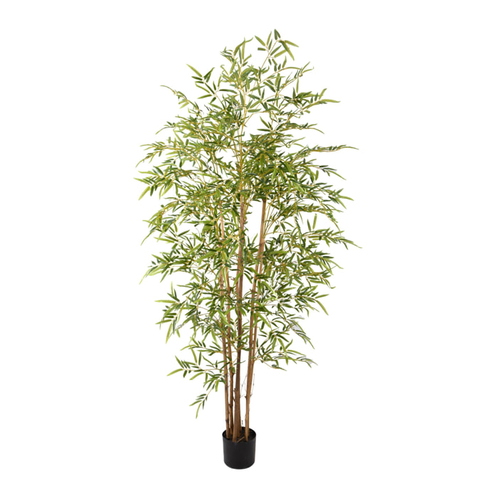 Bamboo con vaso - Pezzi 1 - Colore: Verde - 20xH210x20cm - Bianchi Dino