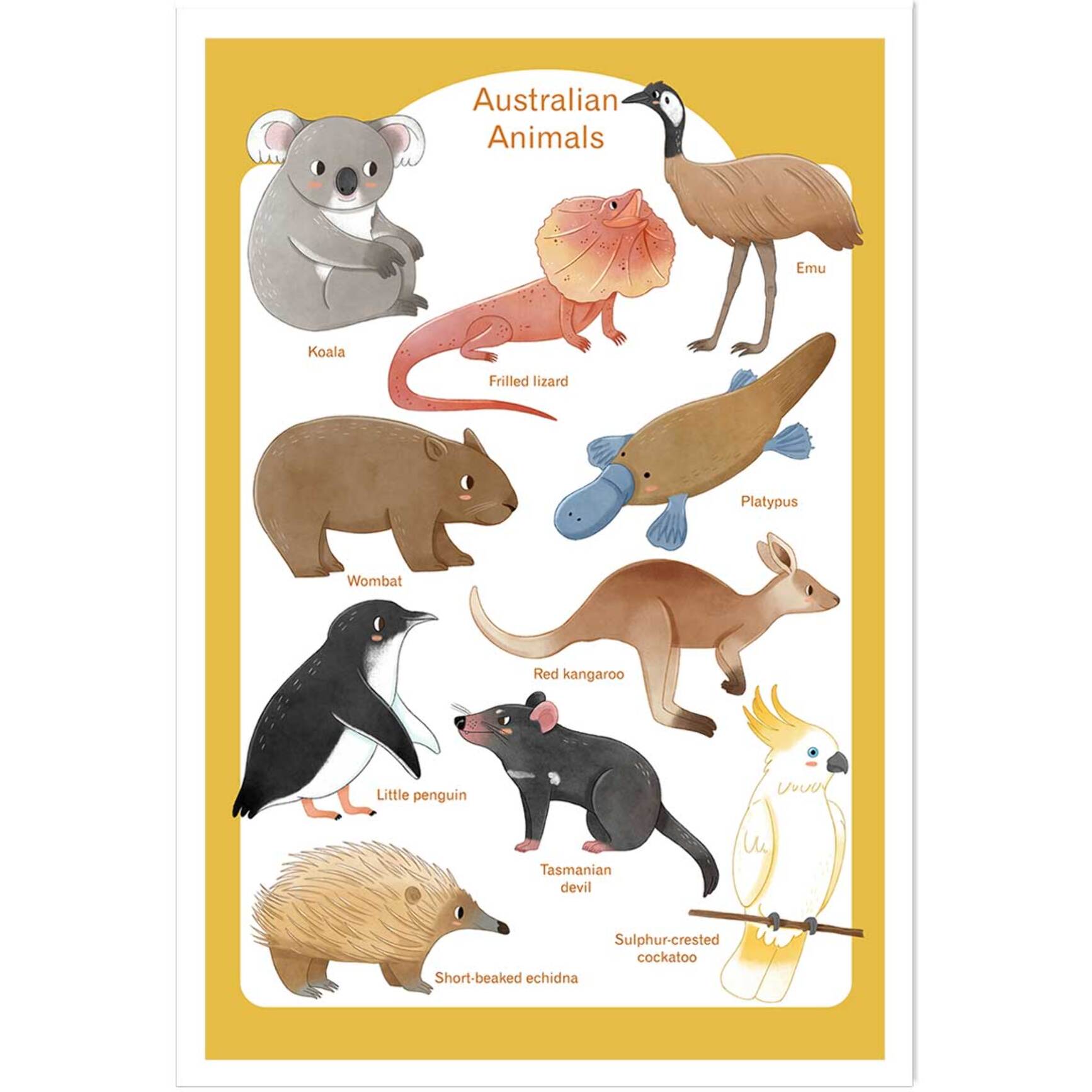 Affiche enfant animaux d' australie  Affiche seule