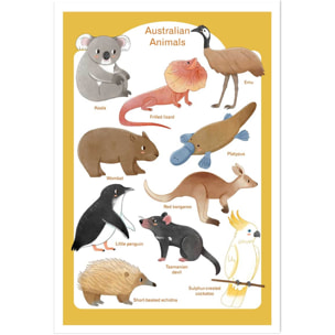 Affiche enfant animaux d' australie  Affiche seule