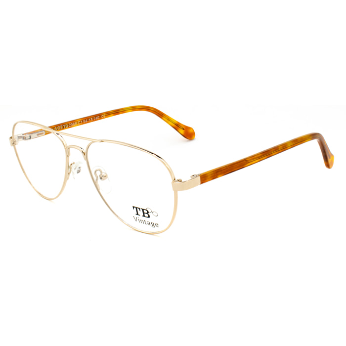 Montura de gafas Titto Bluni Hombre TB2966-C1