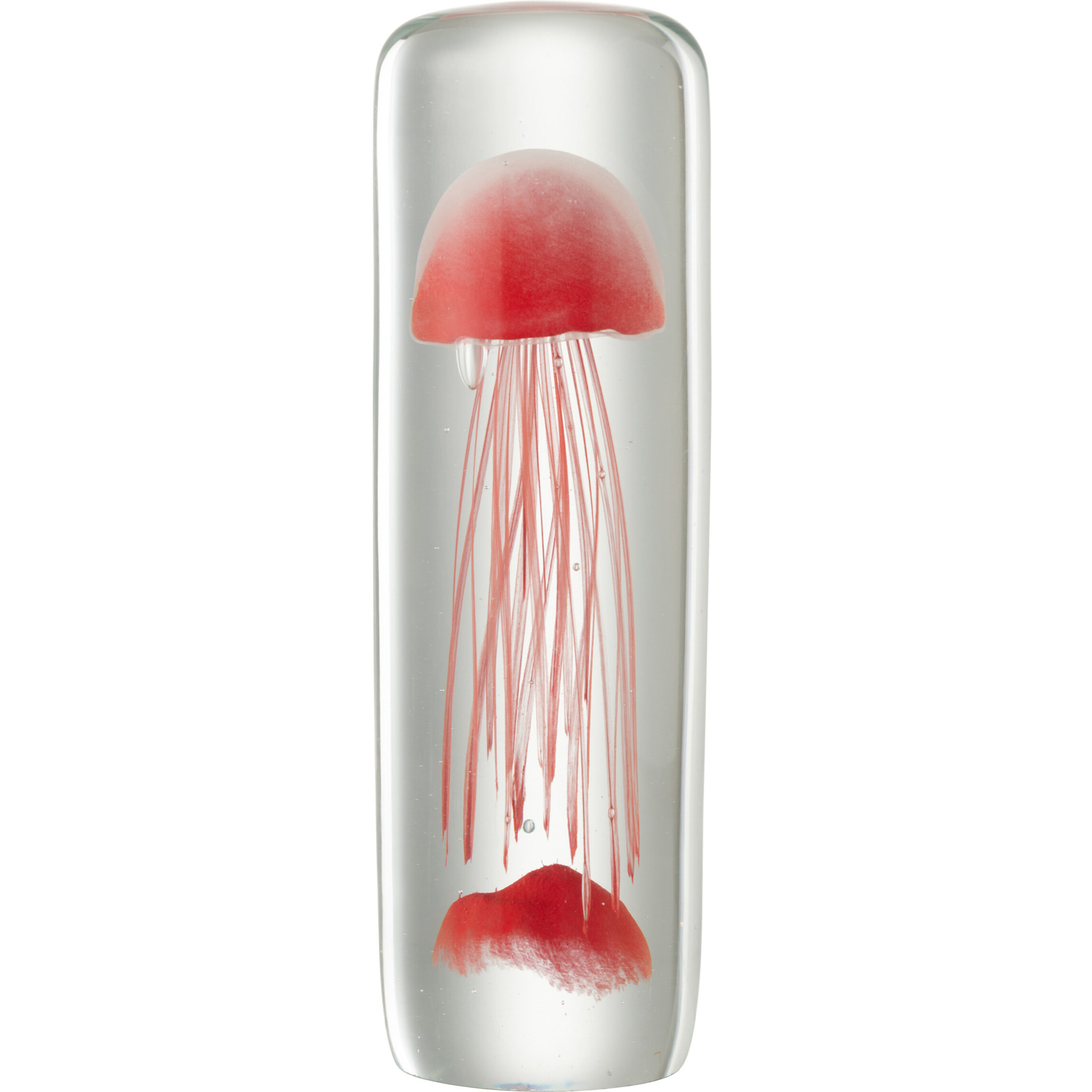 J-Line presse-papier Meduse Cylindre - verre - rouge