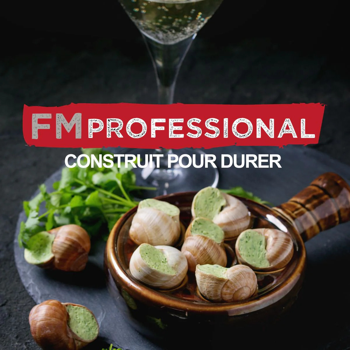 Lot de 4 pinces à escargot FM Professional