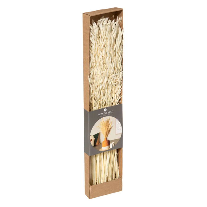 Bouquet fleurs séchées - boîte kraft H60 cm