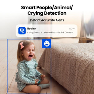Caméra de surveillance REOLINK E321 2K